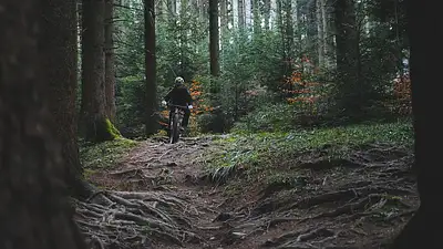 Jak wybrać idealny rower? Praktyczny poradnik 2025