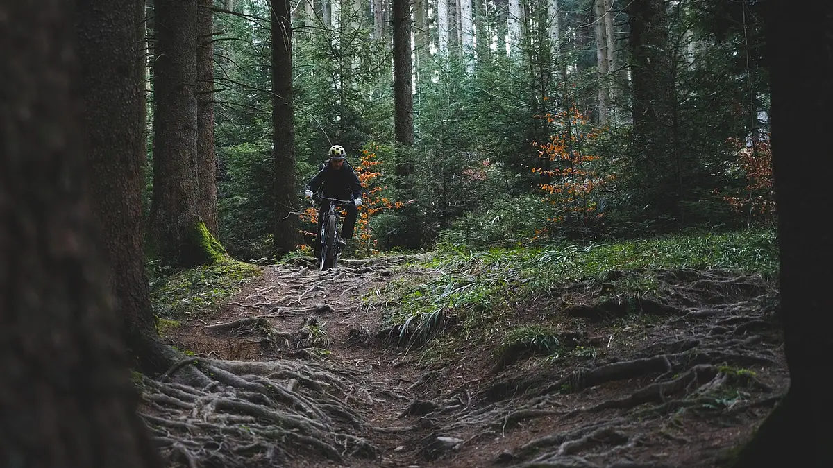Jak wybrać idealny rower? Praktyczny poradnik 2025