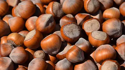 Białko na masę – jak wybrać i stosować skutecznie?