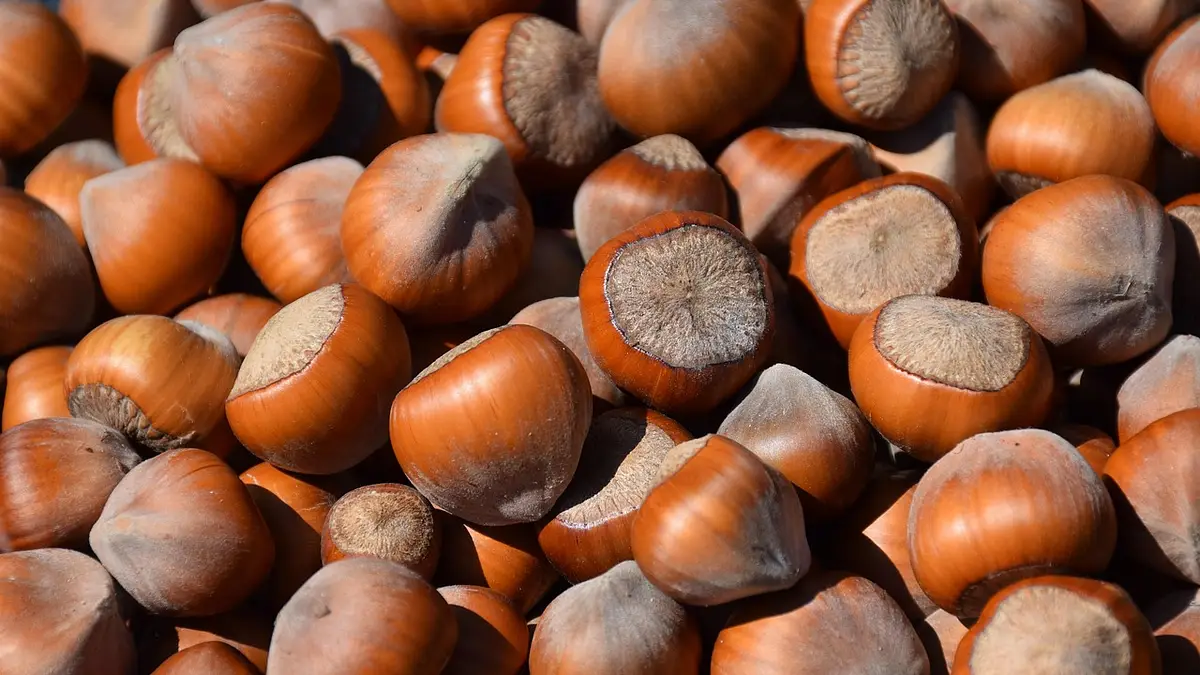 Białko na masę – jak wybrać i stosować skutecznie?