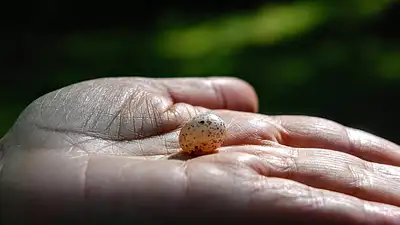 Smartband Garmin – skuteczne narzędzie do odchudzania i fitn