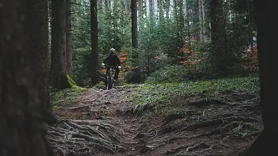 Jak wybrać rower górski na odchudzanie i aktywność