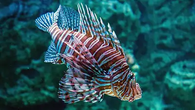 Ćwiczenia dla otyłych – bezpieczne plany i zasady treningu