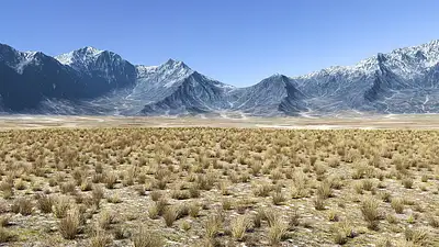 Poliquin Step Up: Skuteczny Trening na Odchudzanie Nóg