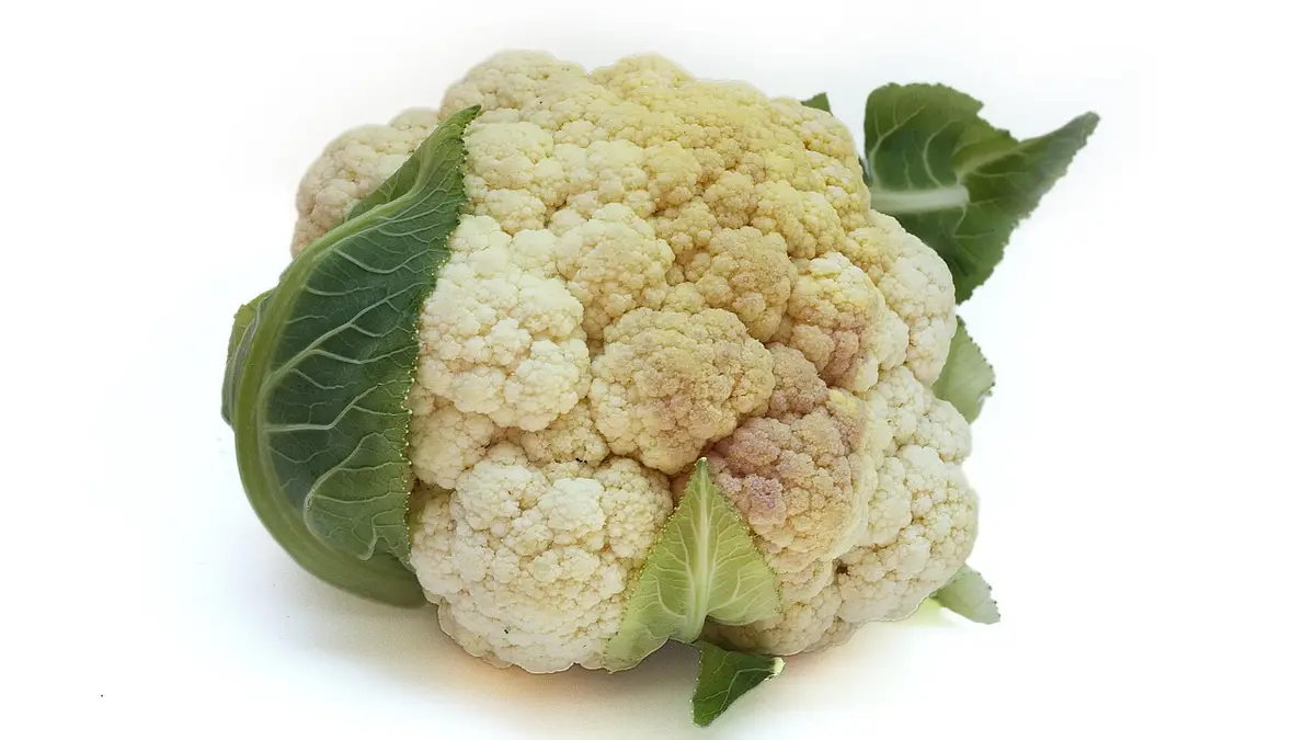 Ile kalorii ma kalafior? Wartość odżywcza i korzyści