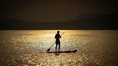 Wiosłowanie sztangą w opadzie tułowia – skuteczny trening pl