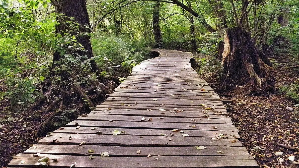 Ćwiczenia na brzuch dla początkujących – TOP 10 skutecznych 