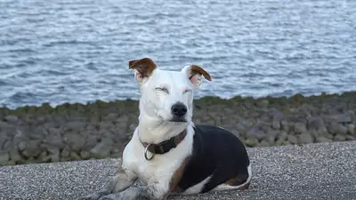 Zdrowy sen a sukces w uprawianiu sportu – klucz do regenerac