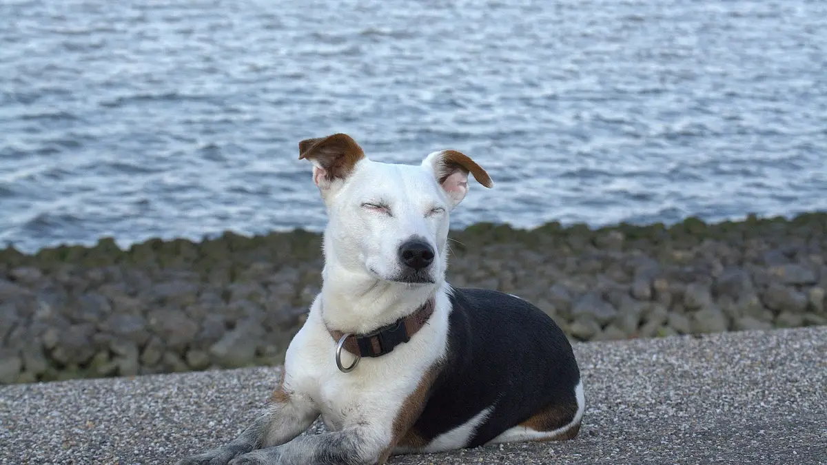 Zdrowy sen a sukces w uprawianiu sportu – klucz do regenerac