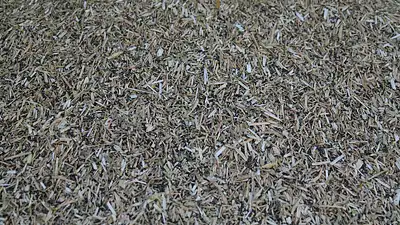 Błonnik a odchudzanie – jak działa i czy warto suplementować