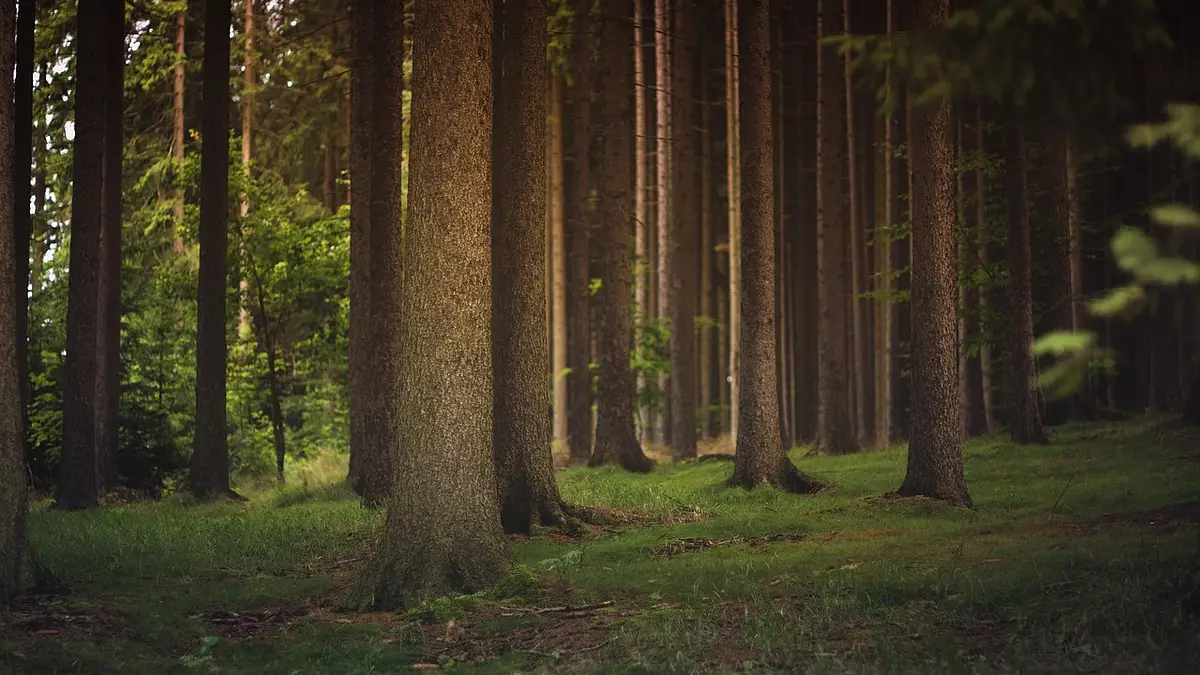 Kąpielówki męskie – jak wybrać najlepsze dla sylwetki i styl