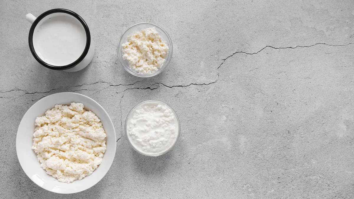 Rodzaje odżywek białkowych i ich znaczenie dla organizmu