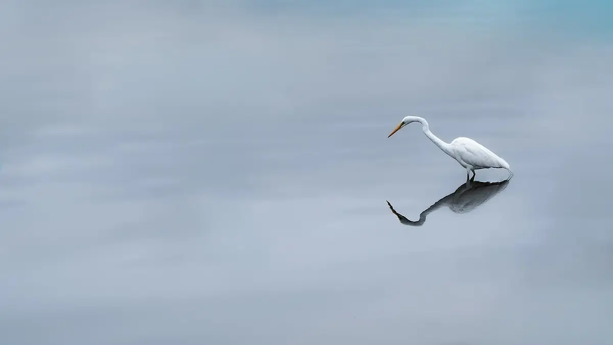 Bieganie w miejscu – skuteczny trening w domu