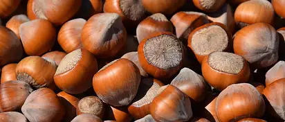 Jakie białko na masę wybrać? Porady i stosowanie