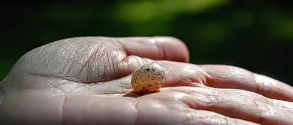 Smartband Garmin: czy jest wart uwagi?