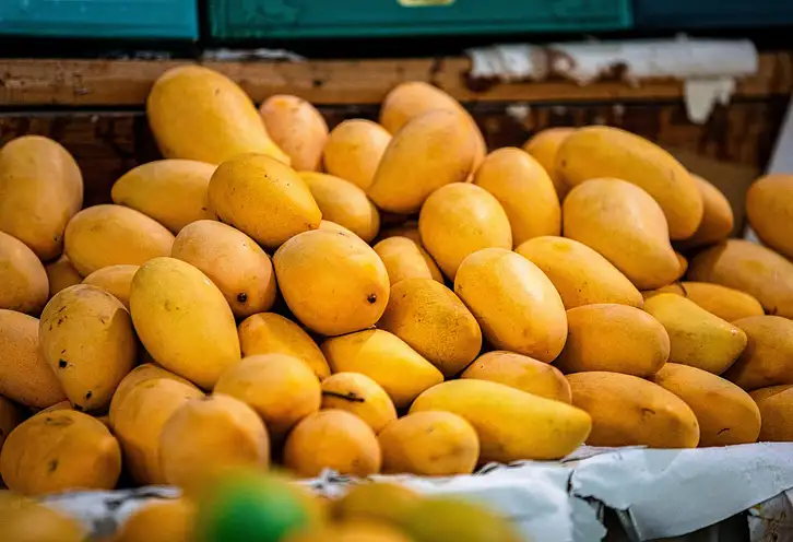 Dlaczego warto jeść mango? Korzyści zdrowotne