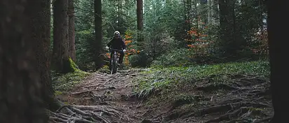 Jak wybrać rower górski? Poradnik