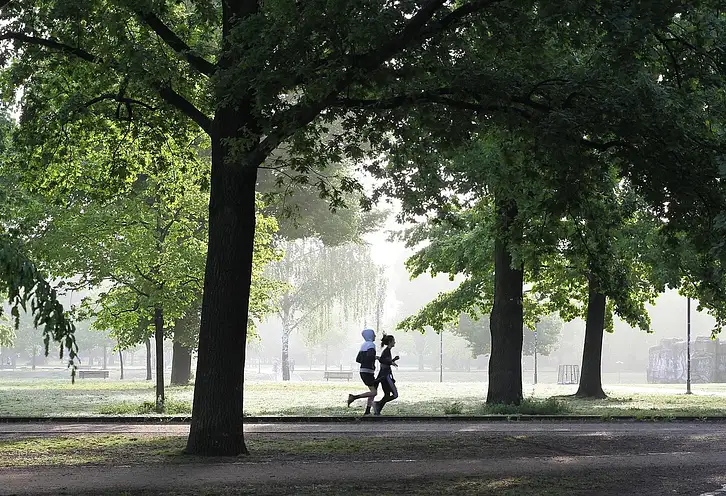 Jak ubrać się na letni jogging: porady