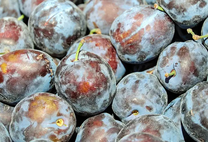 Ile kalorii mają śliwki? Właściwości