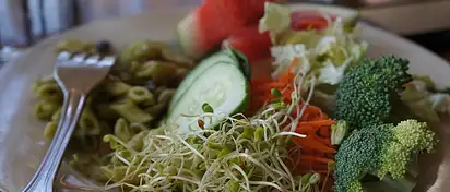 Dieta wegańska w treningu siłowym – porady