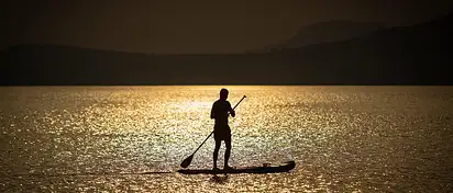 Wiosłowanie sztangą w opadzie tułowia: jak robić