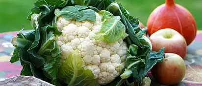 Co jeść żeby schudnąć? Produkty odchudzające