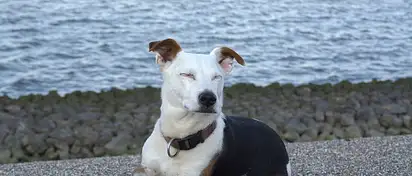 Zdrowy sen przy uprawianiu sportu - klucz do sukcesu