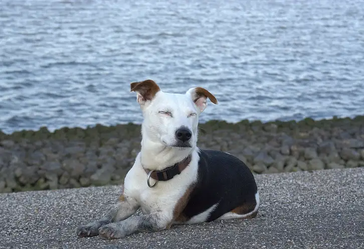 Zdrowy sen przy uprawianiu sportu - klucz do sukcesu