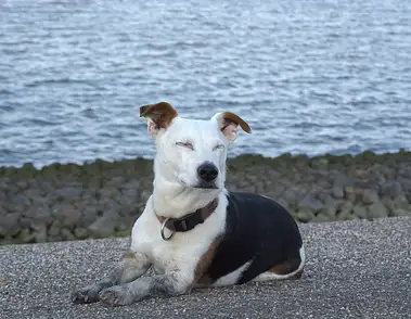 Zdrowy sen przy uprawianiu sportu - klucz do sukcesu