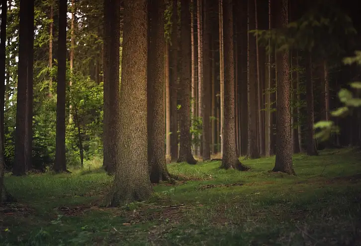 Kąpielówki męskie: jakie wybrać i które najlepsze