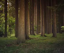 Kąpielówki męskie: jakie wybrać i które najlepsze