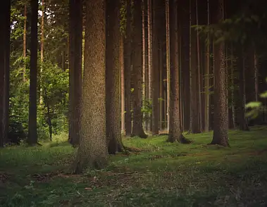 Kąpielówki męskie: jakie wybrać i które najlepsze