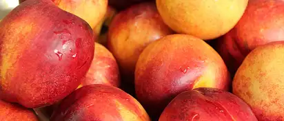 Ile kalorii ma nektarynka? Wartości i właściwości