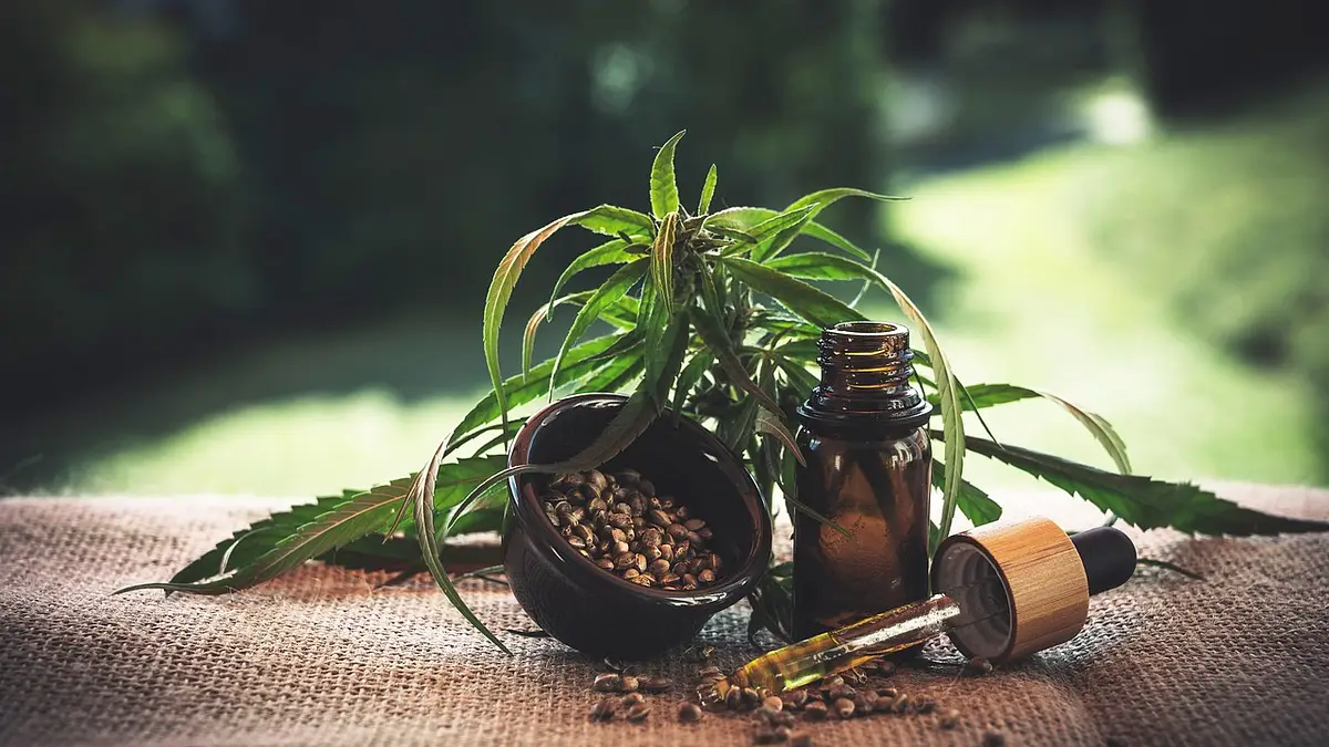 CBD – fakty i mity o kannabidiolu, które musisz znać