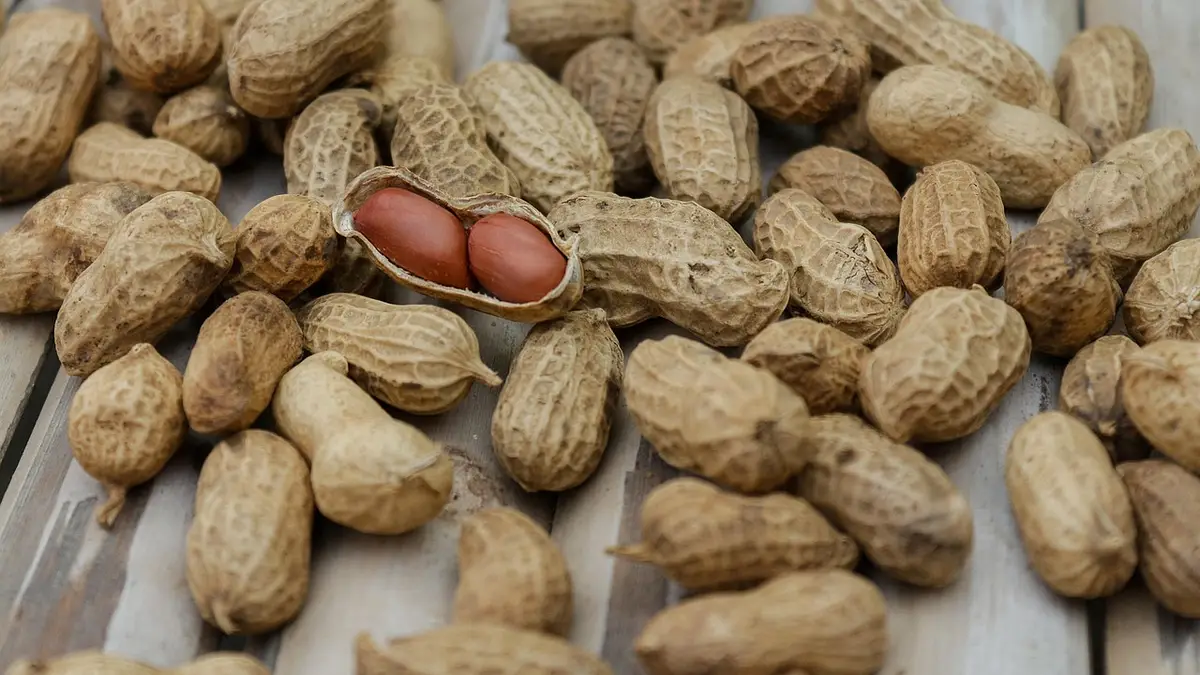 Produkty wysokobiałkowe – 24 najlepsze źródła białka w dieci