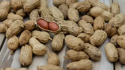 Produkty wysokobiałkowe – 24 najlepsze źródła białka w dieci
