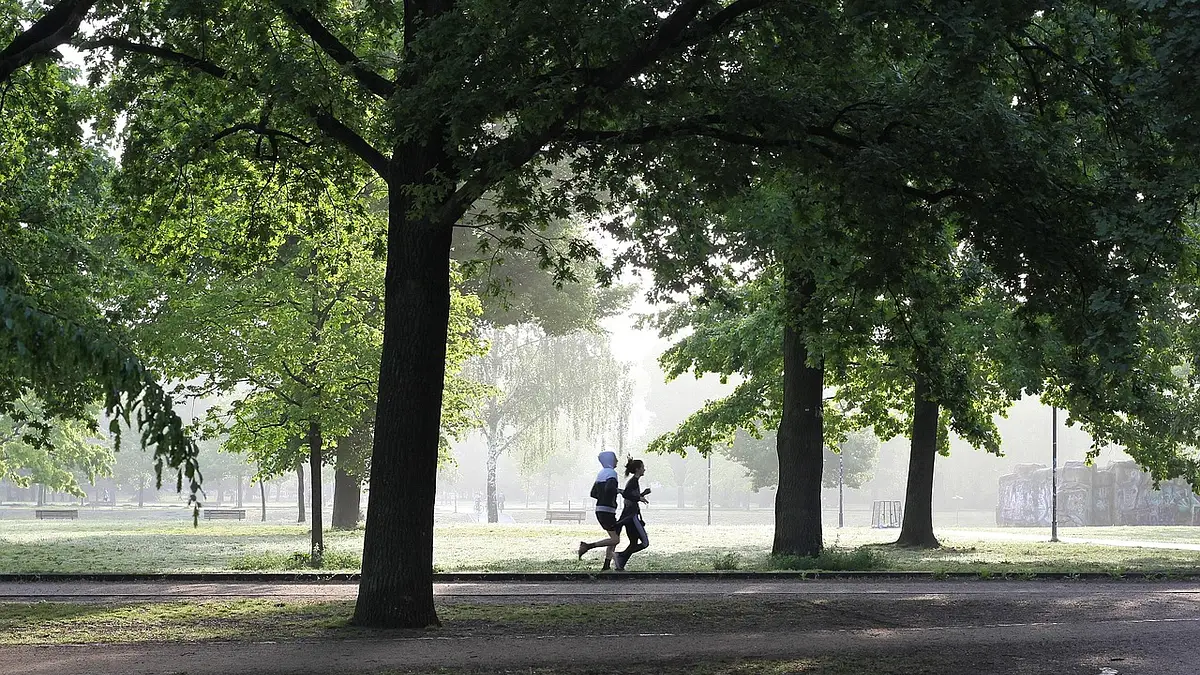 Letni jogging: jak wybrać idealny strój na lato